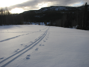 Skidspår på egen lägda