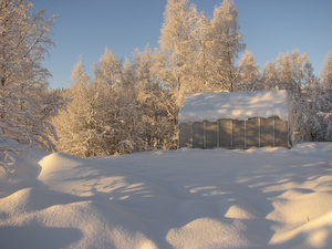 Vintervila för växthuset