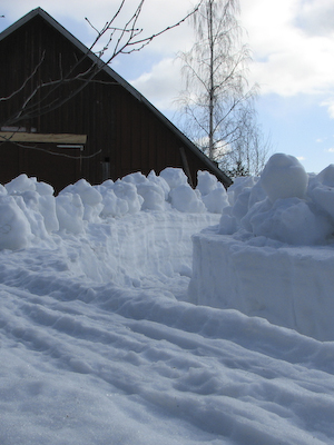 Skottad gång till växthuset