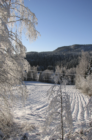 sol och snö