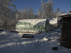 sol och snö